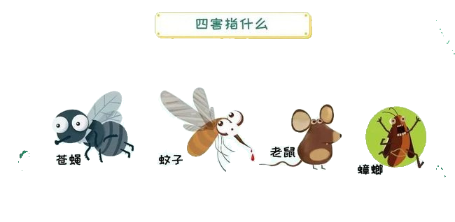 片5.png