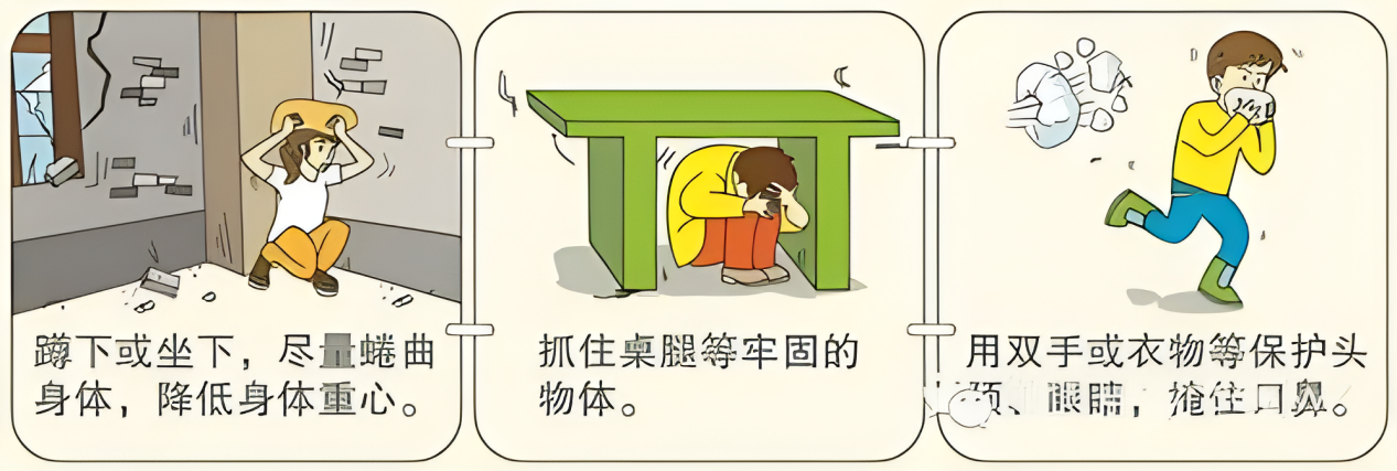 片12.png