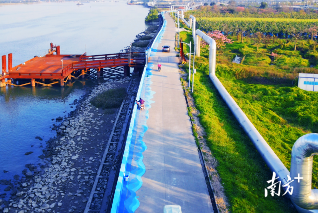 港科大（广州）不远处的沙湾水道（励业路至三沙港路段）近日已完成堤围环境提升。