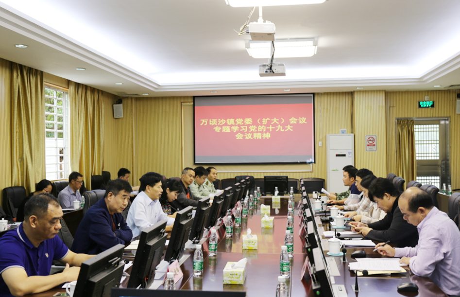 万顷沙镇召开党委(扩大)会议专题学习党的十九大会议精神