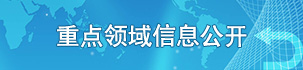 重点领域信息公开