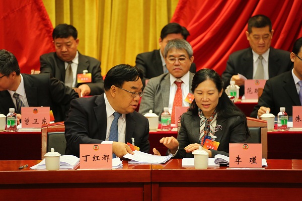 市委常委,区委书记丁红都,市政协党组书记,副主席李瑾出席区政协三届