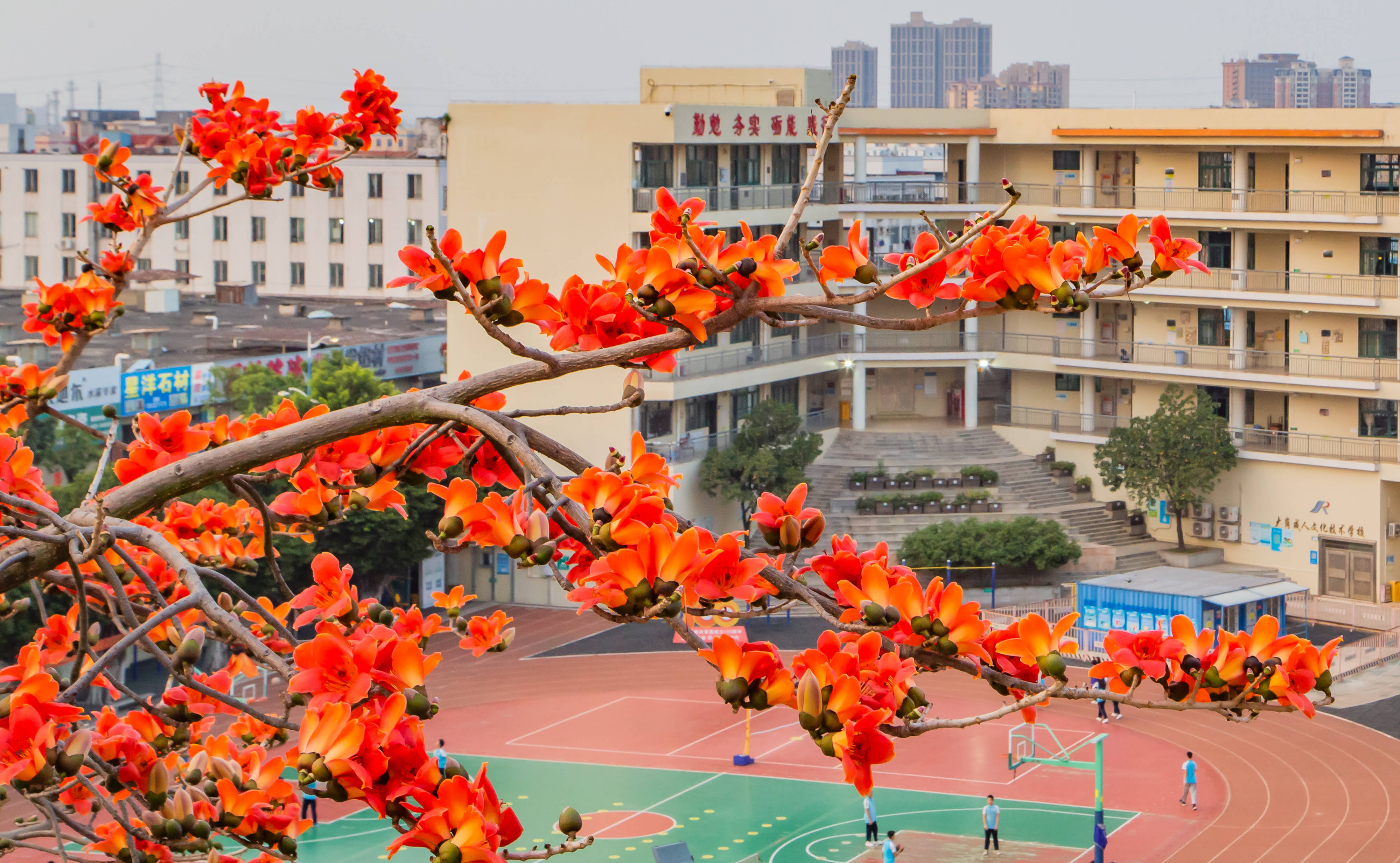 广州市南沙区岭东职业技术学校校园4.jpg