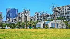 已编辑图片
