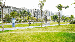 已编辑图片