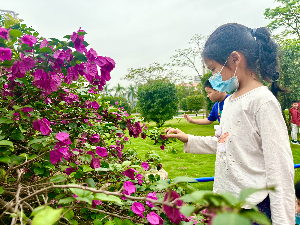 图4小朋友探索岛尖植物.jpg