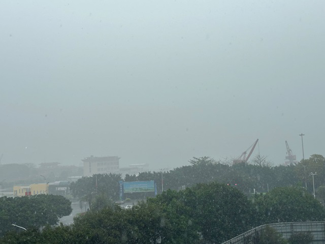 暴雨来袭 南沙海事做好过往船舶安全提醒工作.png