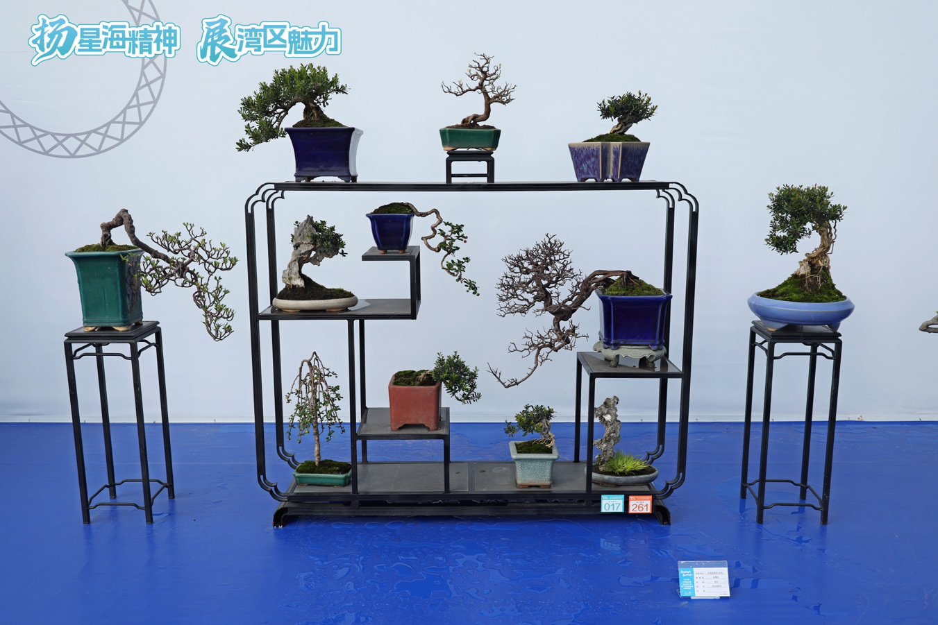 图片6.png