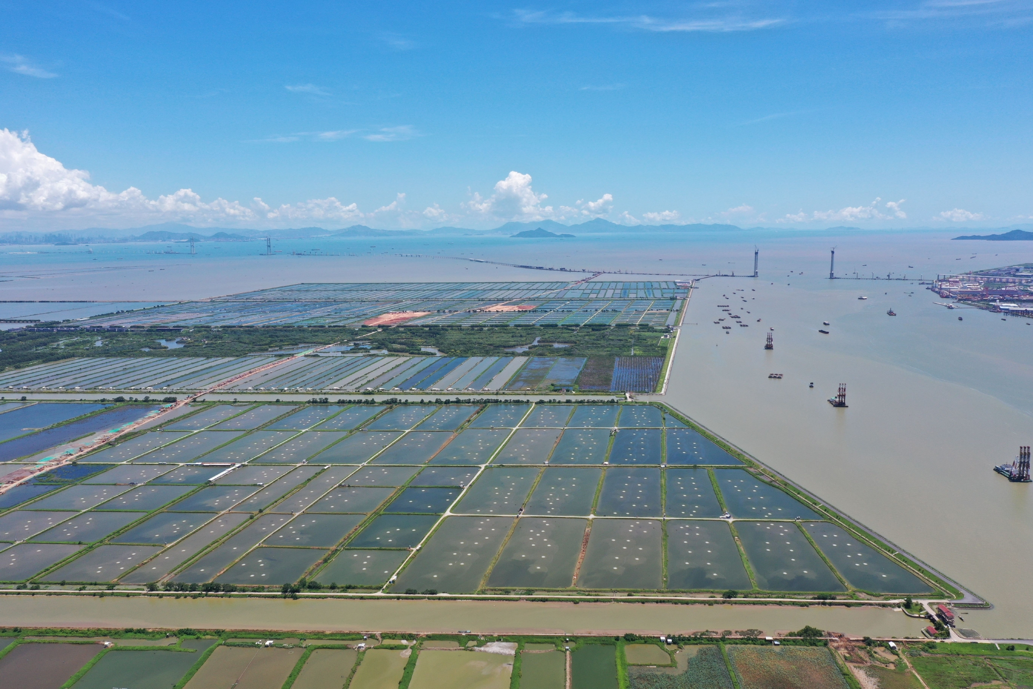 图4  “黄金内湾”万亩渔耕风情片区.jpg