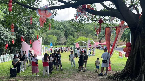 已编辑图片